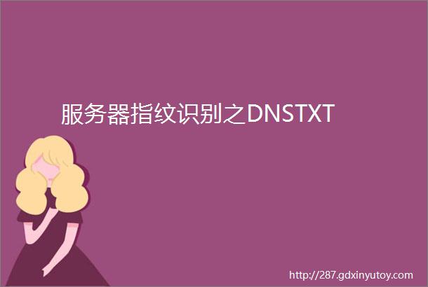 服务器指纹识别之DNSTXT